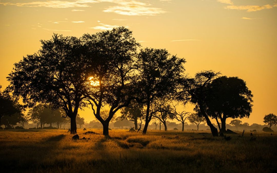 Awakening as Path to Purpose: The Start of Real Living