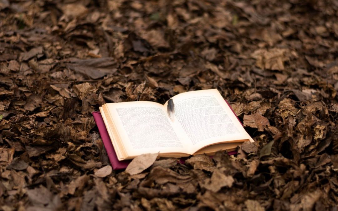 The Book of Life: The Names Within the Pages and Why